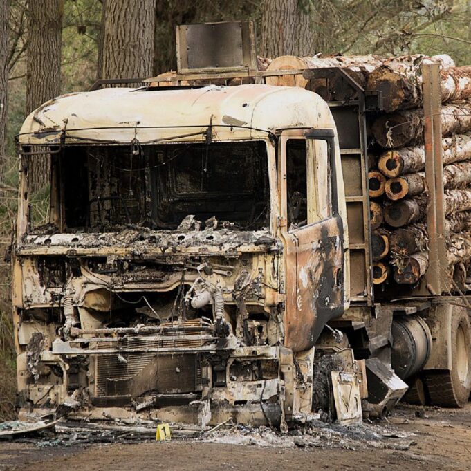 Camioneros Palos blancos